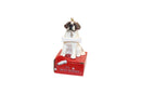 Saint Bernard with Bone Ornament - Christmas >> Ornaments >> Animals - by E&S Pets