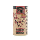 Flowering Cherry Blossom  Seed Grow Kit