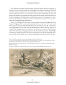 Twas the Night: The Art and History of the Classic Christmas Poem - Gift Shoppe >> Book Nook >> Coffee Table - by Grafton and