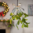 LED Mistletoe Branch
