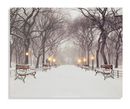 Lighted 20x16 Canvas Print - Snowy Winter in Central Park
