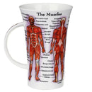 Human Body  Fine Bone China Mug Glencoe Style By Dunoon