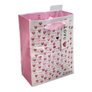 Mini Love and Hearts Gift Bag
