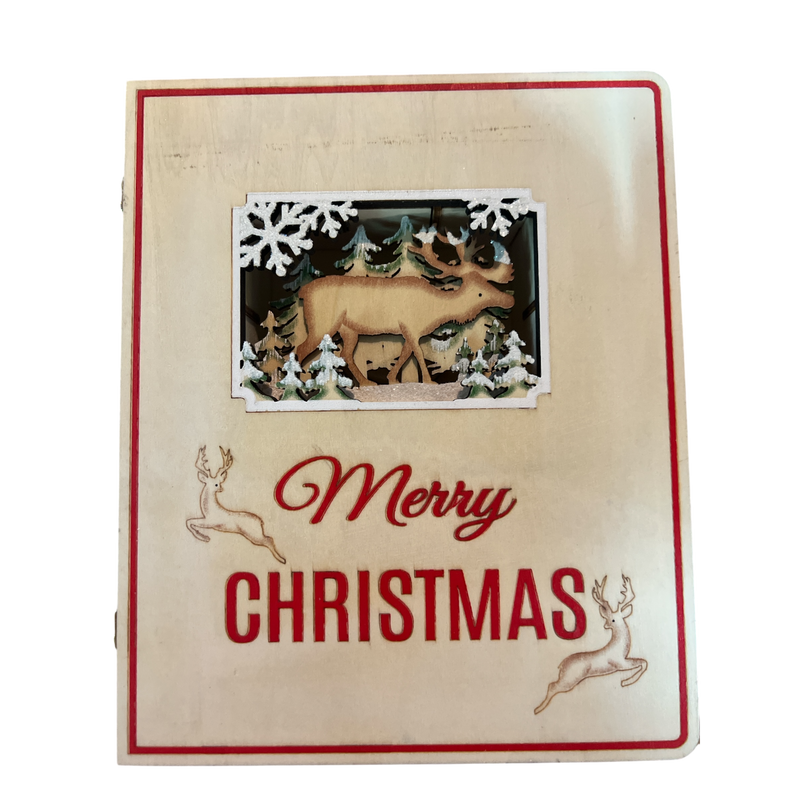 Merry Christmas Advent Book