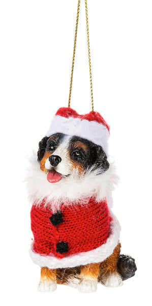 Santa Paws - Dog Ornament - Bernese Mountain Dog