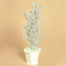 Raz Imports Iced Twig Tree - 20 Inch