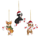 Christmas Puppy Ornament -