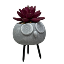 Faux Purple Succulent In Planter - Owl - Home & Living >> Artificial Flowers - by Gerson