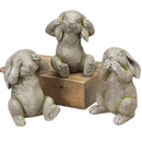 Adorable 7-inch Garden Bunny -