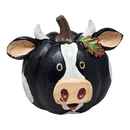 Harvest Cow Pumpkin