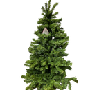 Vienna Woods Wall Tree - Green - 4'