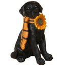 Charming Harvest Black Lab Figurine - Gift Shoppe >> Figurines - by Gerson