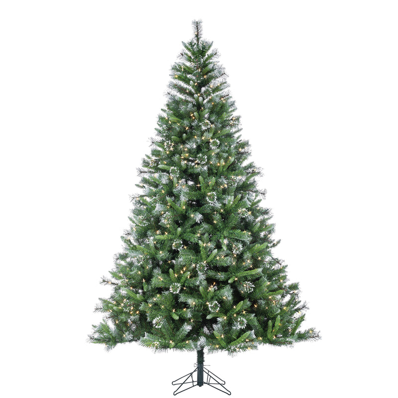 7.5 Foot Hard/Mixed Needle Belmont Fir with White Tips - Warm White LED