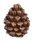 The Tiny Pinecone Pocket Charm - Gift Shoppe >> Jewelry >> Charms and Worry Stones - by Ganz - view 2
