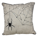 Spooky Spider Web Pillow