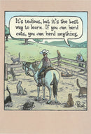 Birthday Card - Herd Cats