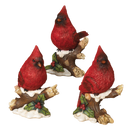 Cardinal on a Snowy Branch -