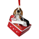 Basset Hound with Bone Ornament