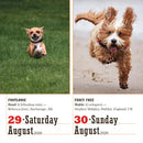 365 Dogs Page-A-Day Calendar 2026: The World's Favorite Dog Calendar