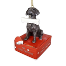 German Shorthaired Pointer with Bone Ornament