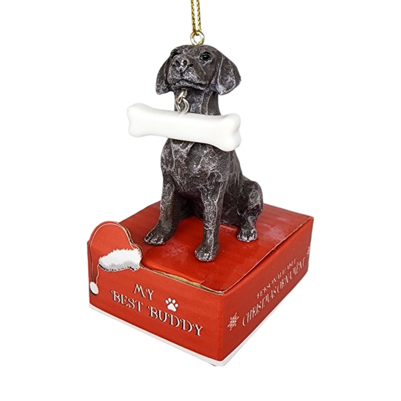 German Shorthaired Pointer with Bone Ornament