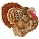 Diecut Turkey Paper Placemat - Set of 12