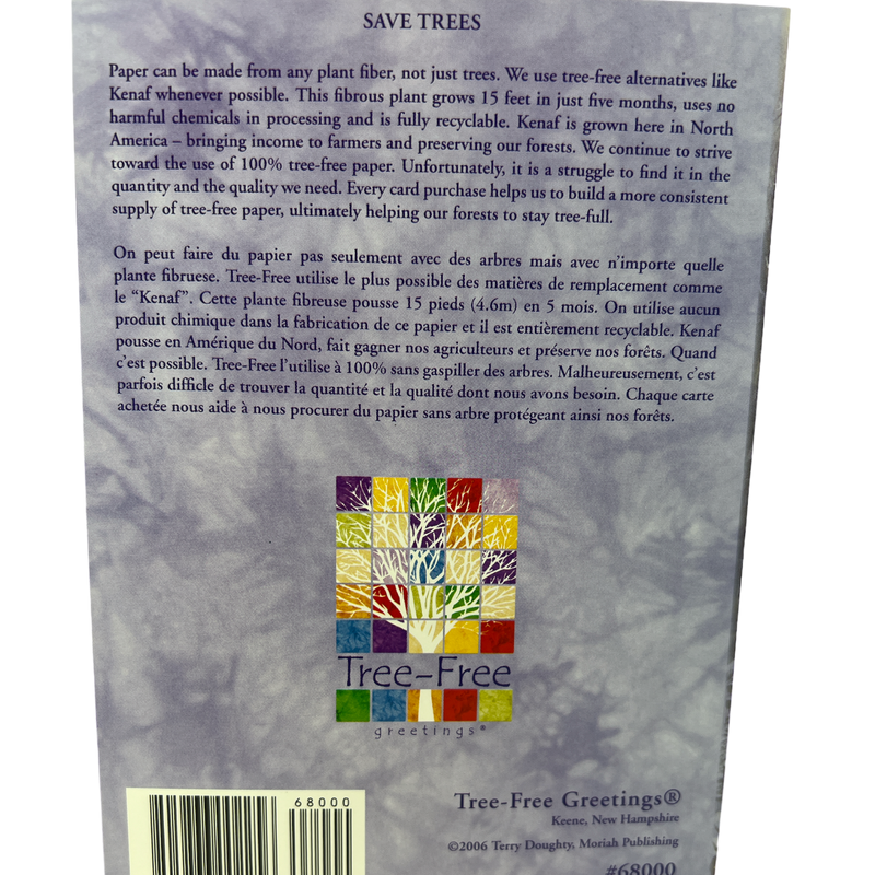 Cardinals Of The Season Single Christmas Card