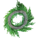 Natural Looking Lush Cedar Wreath - 24 Inches