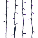 Jingle Bright 100 LED Light Set - Purple - Green Wire - Christmas >> Lighting - by Kurt Adler - view 3