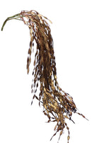 Bronze Corkscrew Spray - The Country Christmas Loft