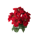 18" Glitter Edge Poinsettia Bush