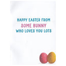 Bunny with Sunglasses Easter Card - Gift Shoppe >> Greeting Cards >> Easter - by Paper Images - view 2