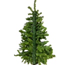 Vienna Woods Wall Tree - Green - 4'