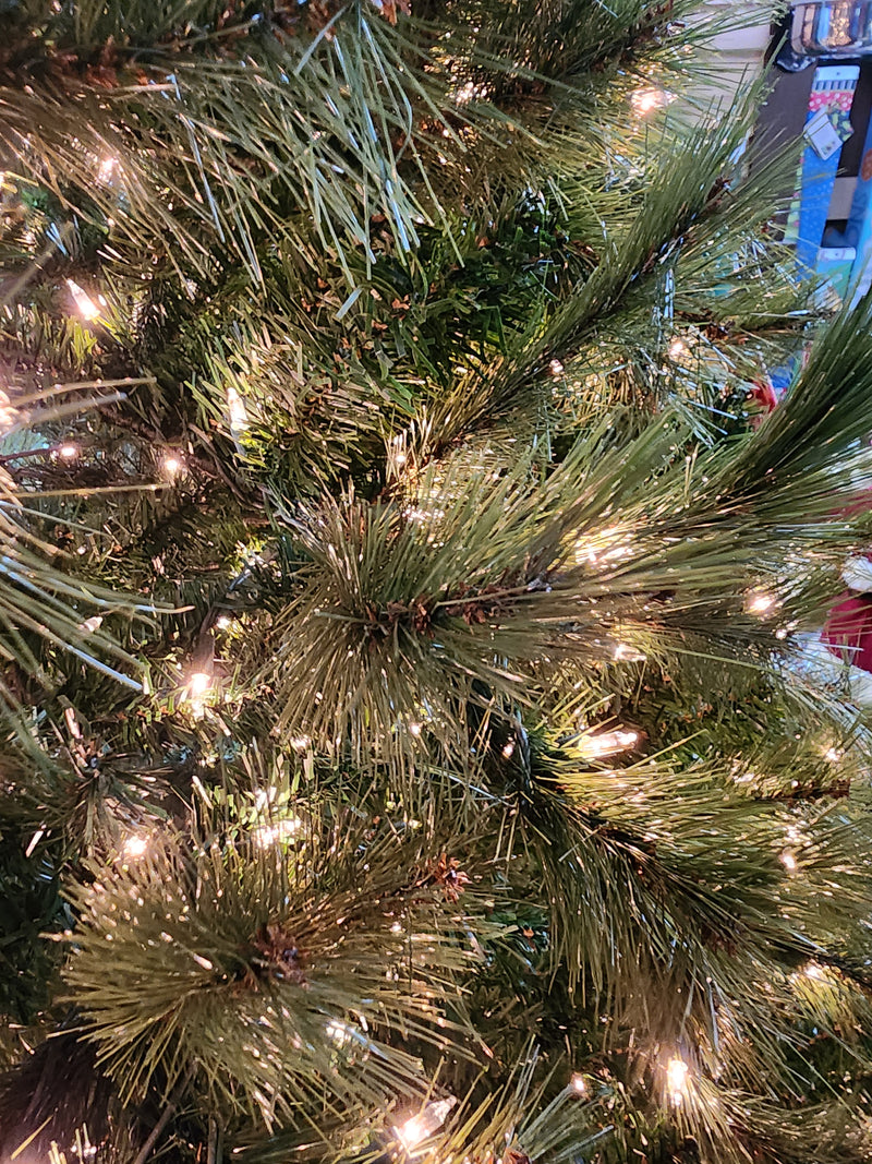 9 Foot Scotch Pine Tree - 1500 Clear Lights
