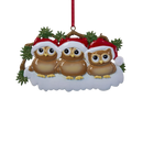 Owl Family of 3 Ornament For Personalization
