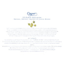 Dreidel, Dreidel, Dreidel Celebration Crackers - includes 12 Celebration Crackers