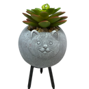 Faux 2 Tone Succulent In Planter - Cat - Home & Living >> Artificial Flowers - by Gerson