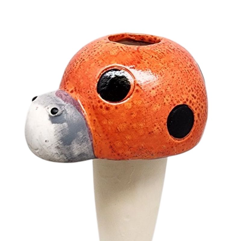 Ceramic Plant Humidifier -