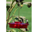 Hummingbird Haven Birdfeeder