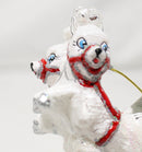 Limited Edition - Polar Flight Ornament