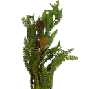 Fern Garland - Garland - by Gallerie II