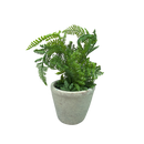 Faux  Boston Fern in Cement Pot - Home & Living >> Artificial Flowers - by Gerson