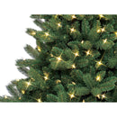 Colorado Spruce Tree with Multicolor and White LED Lights - 5 Foot - Christmas >> Trees and Wreaths - by General Electric - v