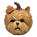 Autumn Pup Pumpkin - Yorkie Edition - Figurines - by Gerson - view 4