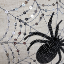 Sparkling Spider Web Pillow