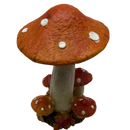 Cheerful Orange Harvest Mushrooms