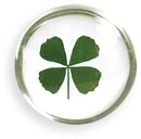 4 Leaf Clover Stone