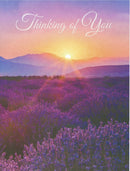 Lavender Field - Sympathy Card