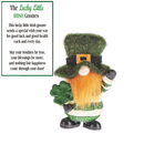 Lucky Little Irish Gnome