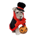 Costume Pet Figurine